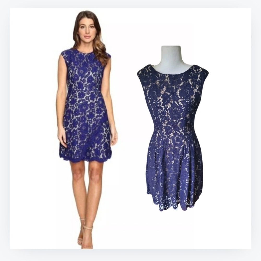 Vince Camuto Women's Navy Lace Overlay  Extended Cap Sleeve Dress Size 4
